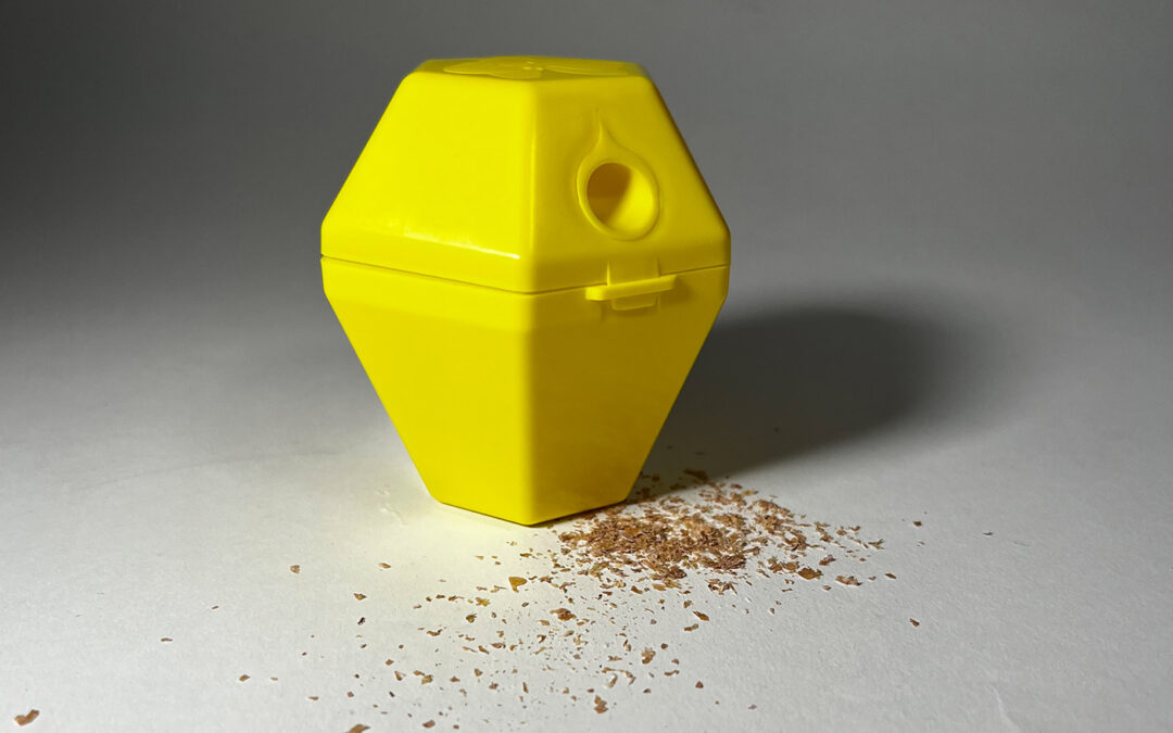 Slakkenval om Spaanse aardslak te bestrijden zonder pesticiden