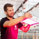 Is investeren in full LED bij gerbera nog een beetje te vroeg?