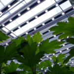 Intelligente aansturing belichting in Masterplan Licht