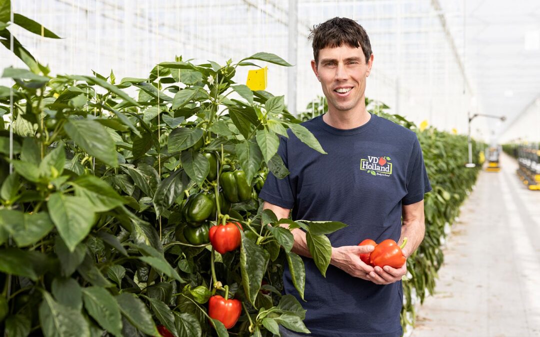 Arnaud van Dijk: ‘Het is hollen of stilstaan met paprikavolumes’