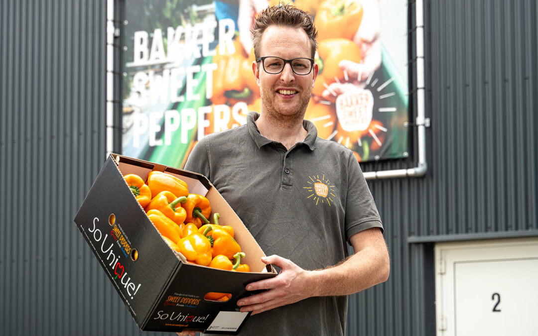 ‘Minimaal 1 fte besparen met investering in nieuw oogstsysteem’