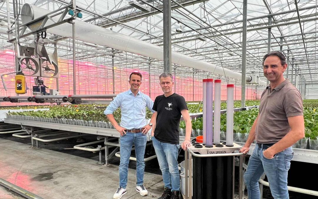 Veel lagere tripsdruk dankzij draaiende buizen boven teelttafel
