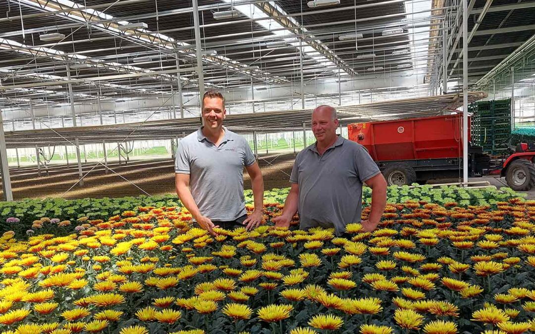 ‘Glastuinbouw kan rol spelen in oplossing mestproblematiek’