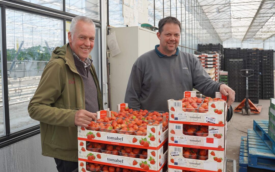 Goede werking tegen meeldauw, Botrytis en andere schimmels