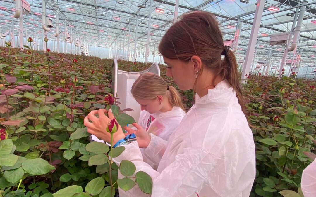 ‘Kennisdelen: een risico of juist een kans op betere prestaties’