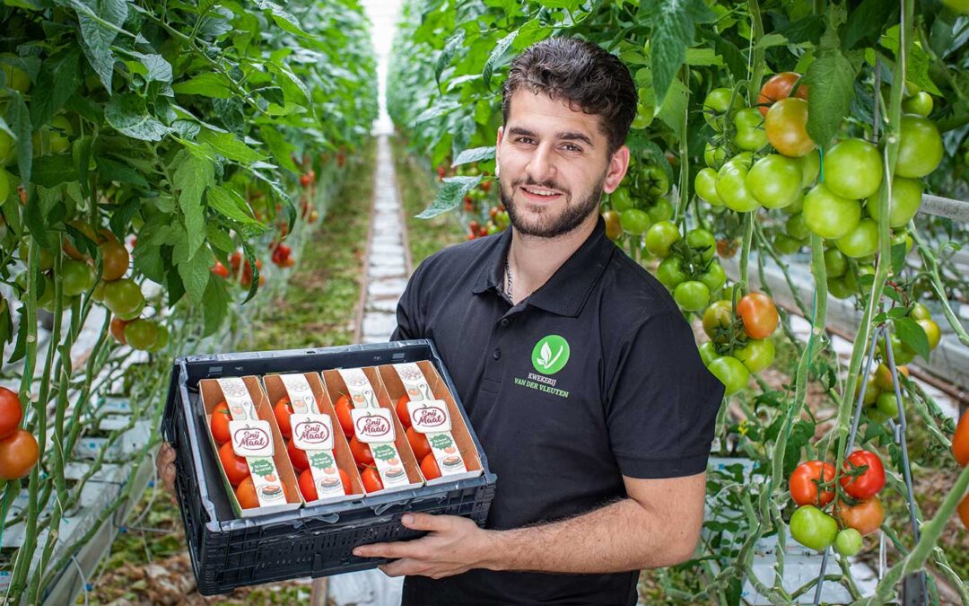 ‘Nieuwe tomaat biedt kans om ons te onderscheiden in de markt’