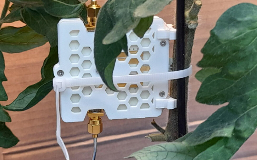 Meten van assimilatenstromen met Radio Frequentie technologie