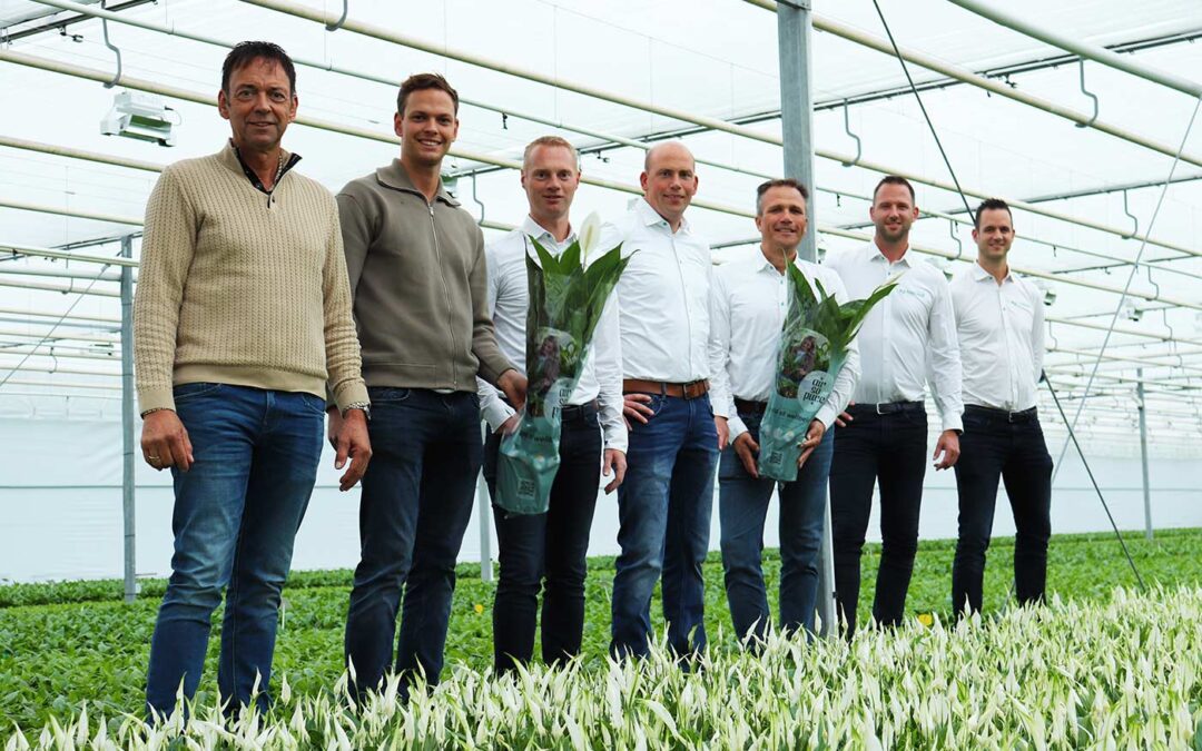 KP Holland en Westland Plant gaan intensief samenwerken