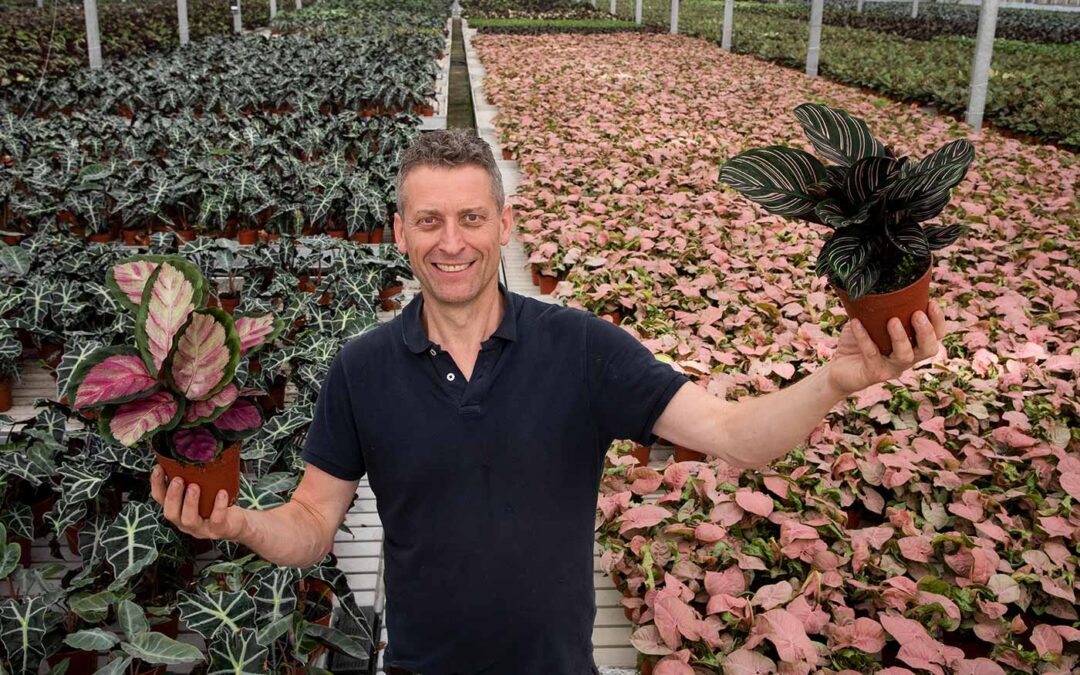 Nieuw schermdoek verdeelt zonlicht gelijkmatig over de planten