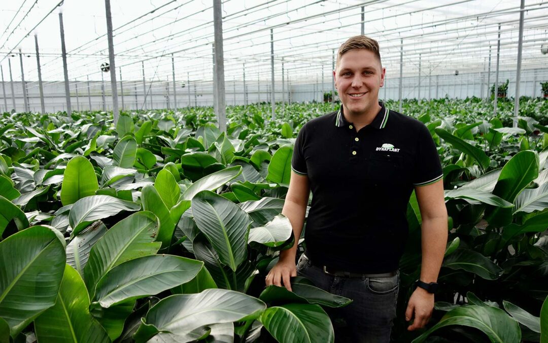 ‘Middel is extraatje dat onze planten een optimale start geeft’
