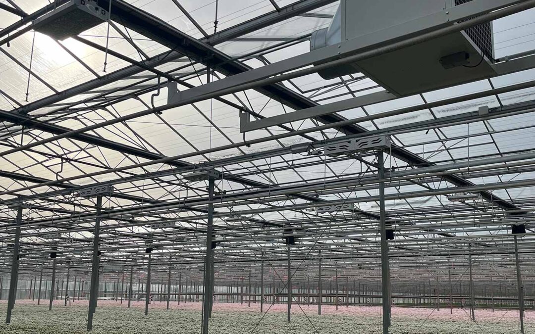 Ervaringen met elektrische ontvochtiging zijn verrassend goed