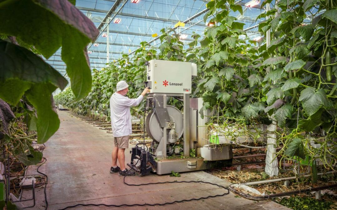 Komkommerteler bespaart 40 tot 50% op bladplukkosten