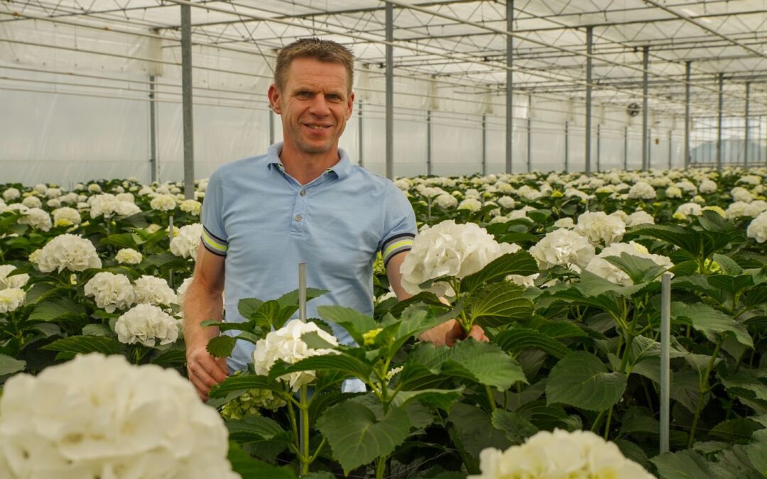 ‘Goede prijzen maakten hoge kosten minder pijnlijk dit seizoen’