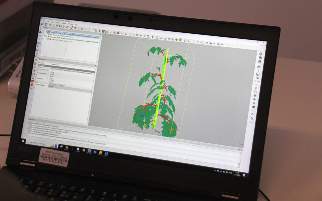 Handmatige metingen vervangen door 3D plant fenotypering