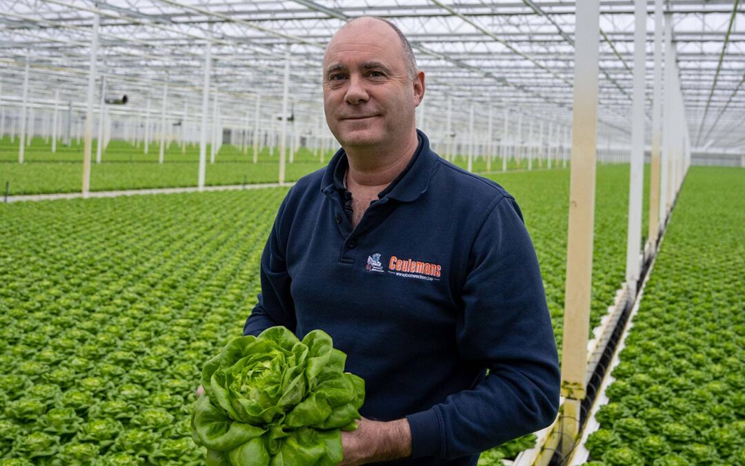Slateler Ceulemans positief ondanks gevecht met Phytophthora