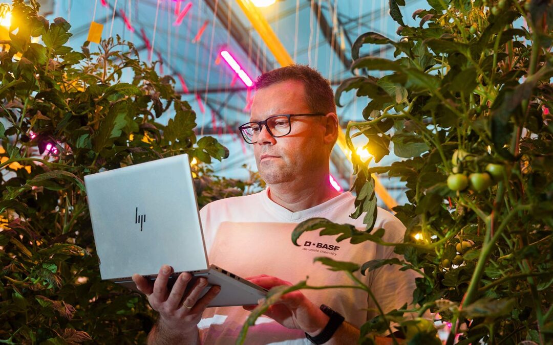 Proactief in plaats van reactief telen dankzij autonome belichting