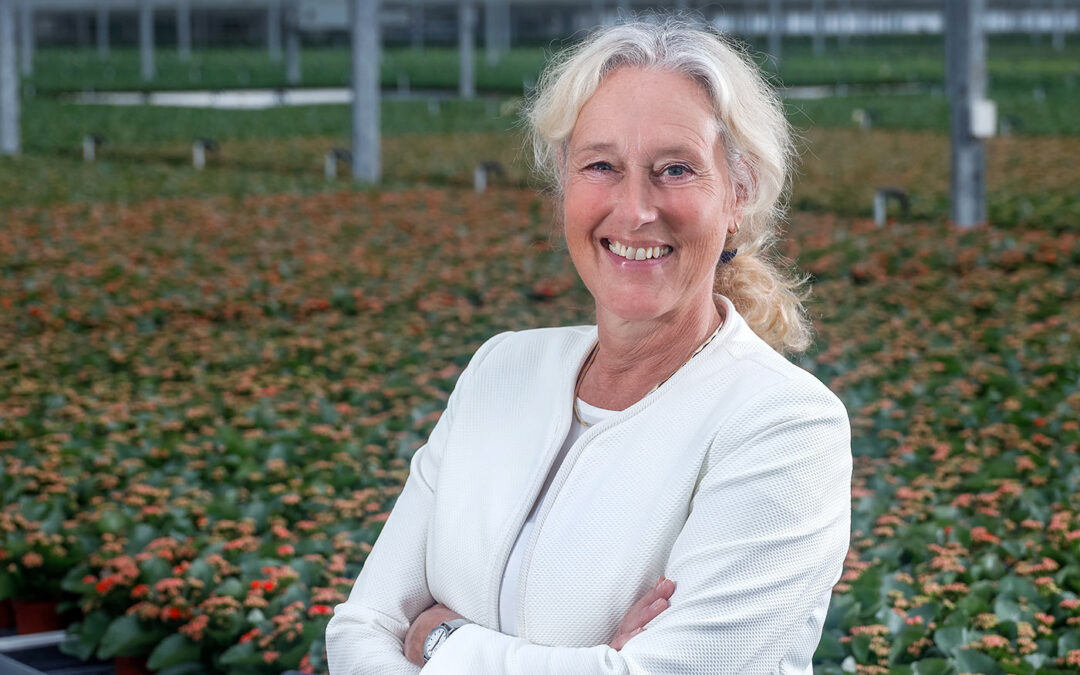 ‘Sector verplicht in CO₂-systeem en moet groen gas bijmengen’