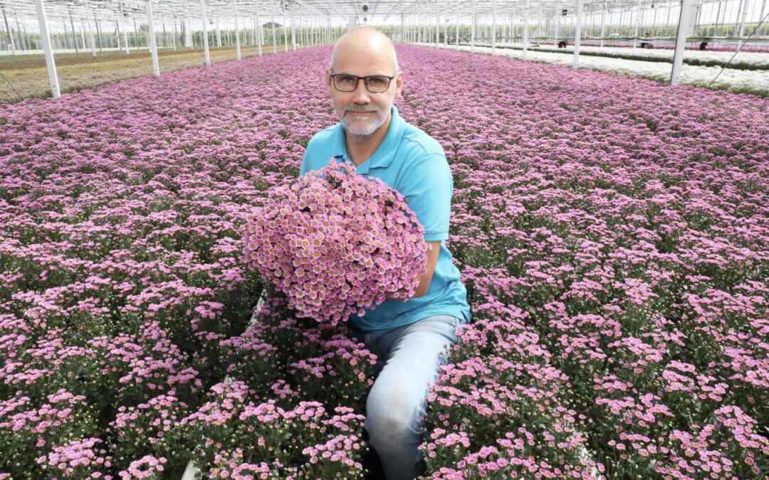 ‘We halen per jaar 640 takken Madiba’s per vierkante meter’