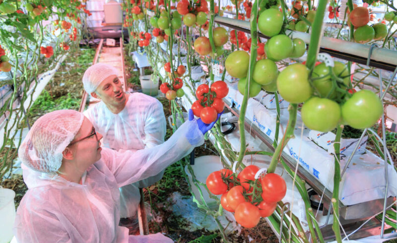 Nieuwsbrief_onderglas_AFN