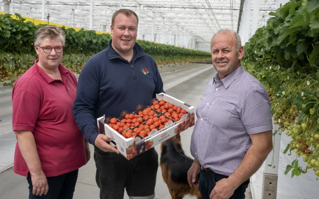 ‘We hebben LED’s en een UV-robot gekocht vanwege opvolging’