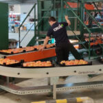 VDL Groep versterkt positie met overname Crux Agribotics