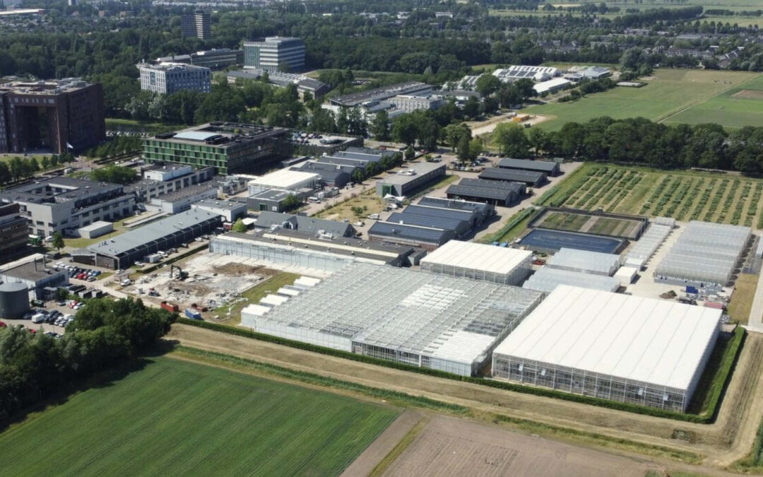 WUR bouwt nieuwe hightech onderzoekskas in Wageningen