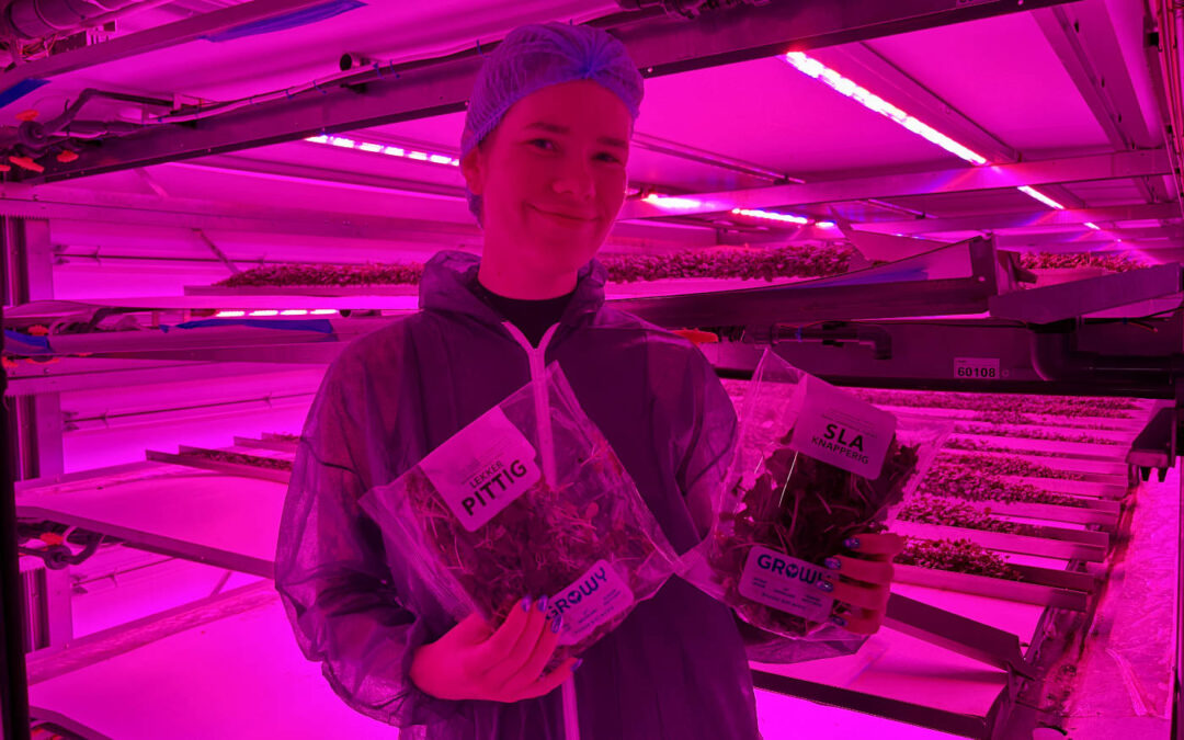 ‘Dit jaar telen we break-even en werken we aan uitbreiding’