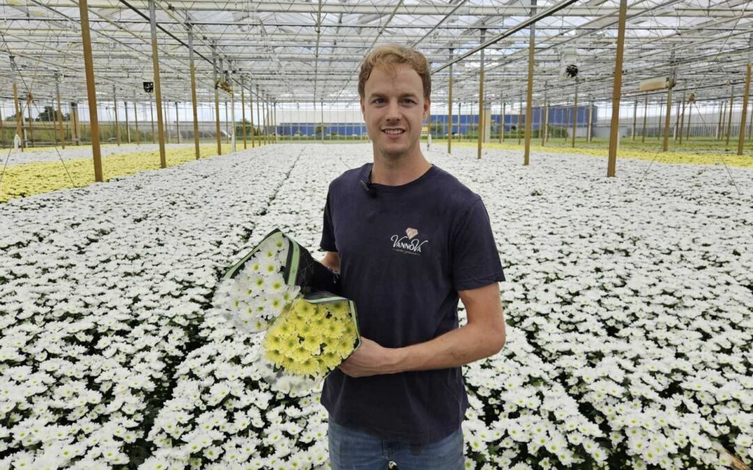 ‘Met elkaar werken aan toekomstbestendige chrysantenteelt’