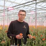 ‘Biologische fungiciden houden meeldauw goed in de hand’