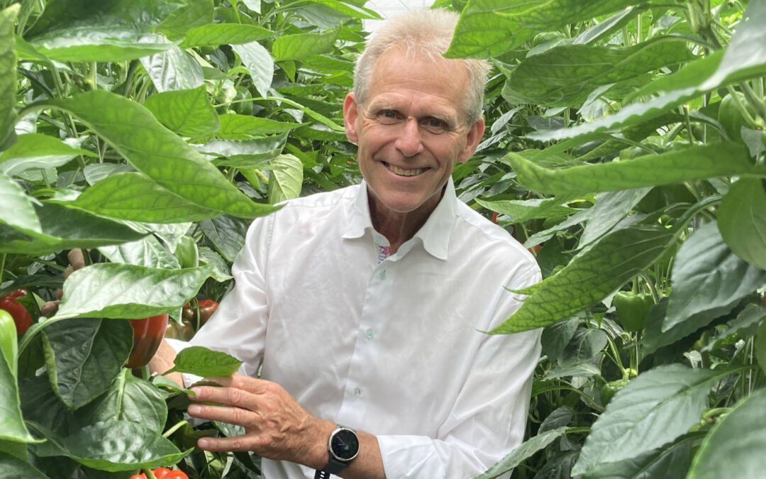 ‘Eenduidige en meetbare definitie plantbalans noodzakelijk’