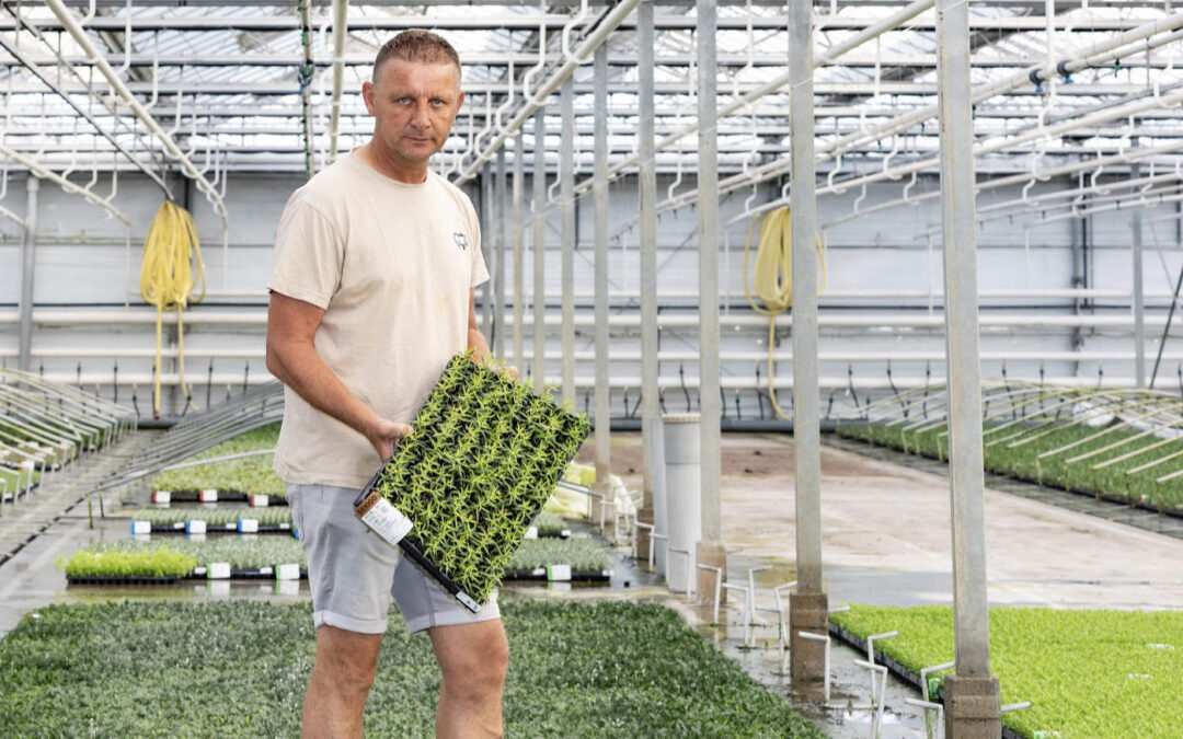 ‘Met Serenade houden we de schimmels onder controle’