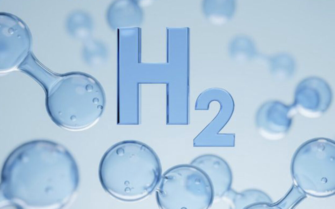 Kan groene waterstof gamechanger zijn voor de glastuinbouw?