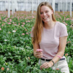 Succesvol praktijkonderzoek Nephus roofkever tegen wolluis