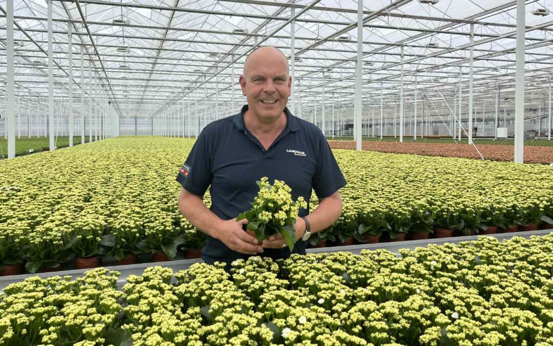 ‘Microalgen maken absoluut verschil, maar je moet er in geloven’