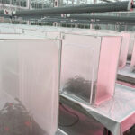 Sergio Harinck: ‘Trips is niet over één kam te scheren’