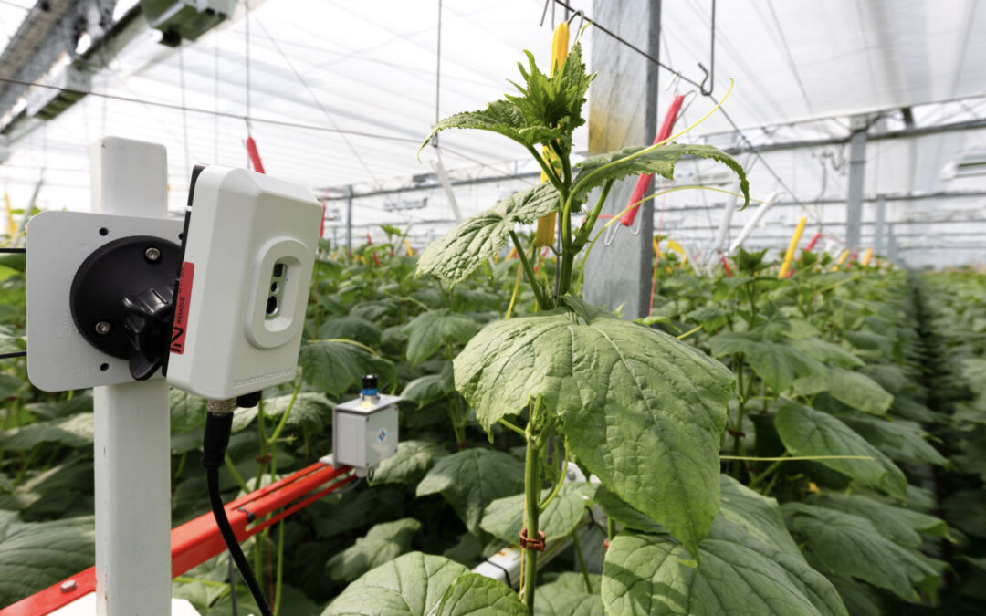 Steeds meer nadruk op data: ‘Meten is weten’