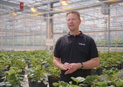 Limgroup kiest voor flexibiliteit en precisie met IIVO