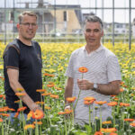 ‘Retail wil meer minigerbera’s en wij blijven graag marktleider’