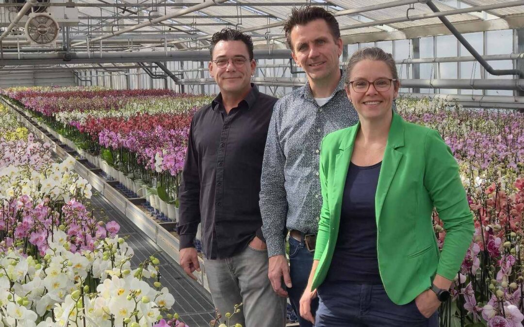 Gearbox en DV Automation bundelen hun krachten