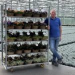 ‘Pot kan met uitgebloeide plant zo in de groene bak’