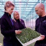 ‘Telen onder LED’s heeft meerwaarde, maar vergt flinke studie’