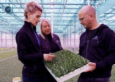 ‘Telen onder LED’s heeft meerwaarde, maar vergt flinke studie’