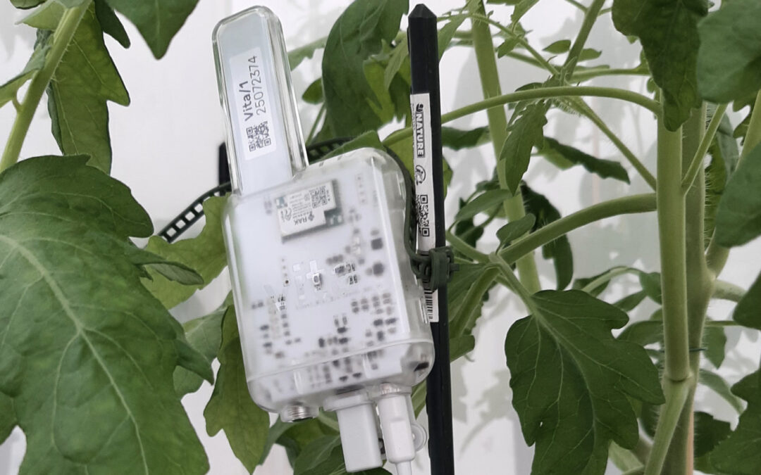 Planten als biosensoren voor meten actuele plantgezondheid