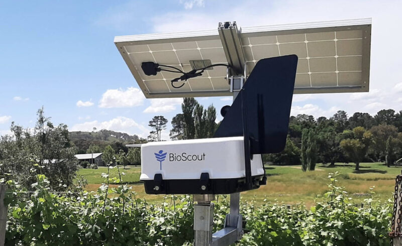 Nieuwsbrief_onderglas_AFN