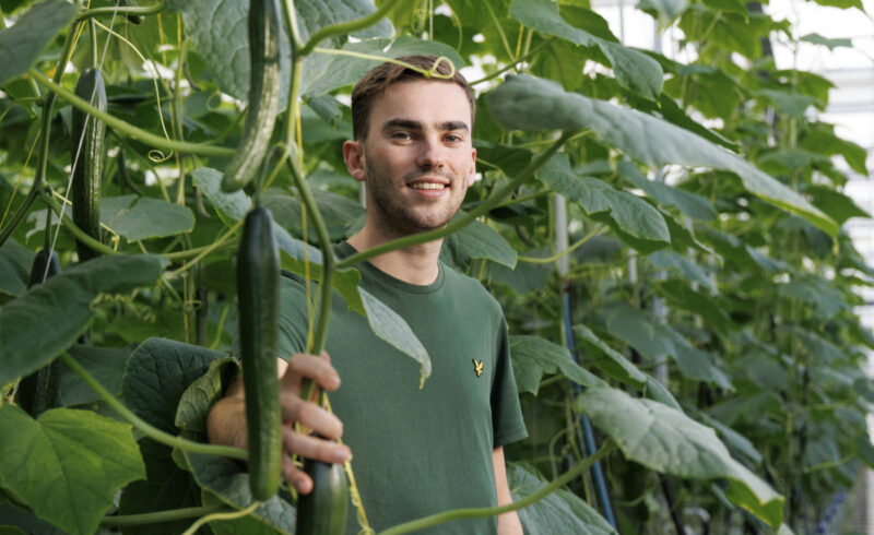 Nieuwsbrief_onderglas_AFN