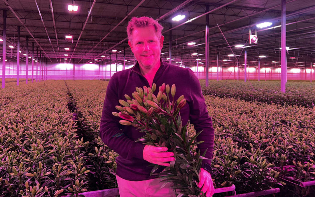 ‘LED-belichting biedt nieuwe mogelijkheden, maar kost veel tijd’