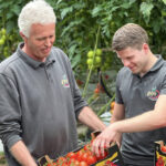 ‘Het is continu laveren tussen energiebesparing en teeltkwaliteit’