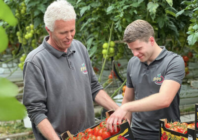 ‘Het is continu laveren tussen energiebesparing en teeltkwaliteit’