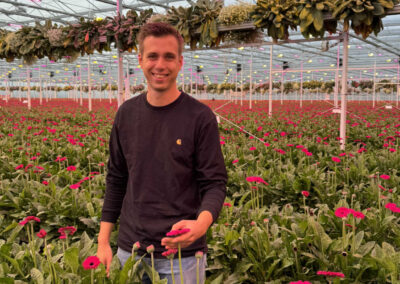 LG Flowers blijft inzetten op volledige biologische bestrijding