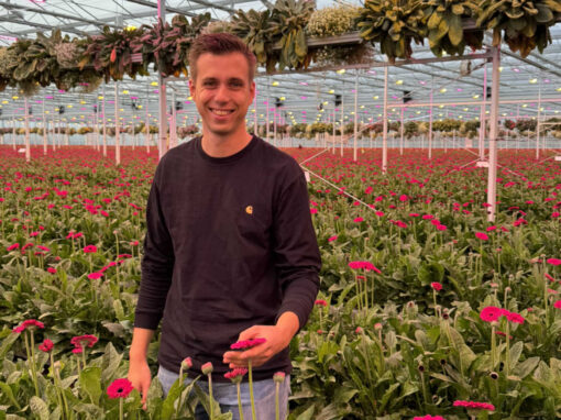 LG Flowers blijft inzetten op volledige biologische bestrijding
